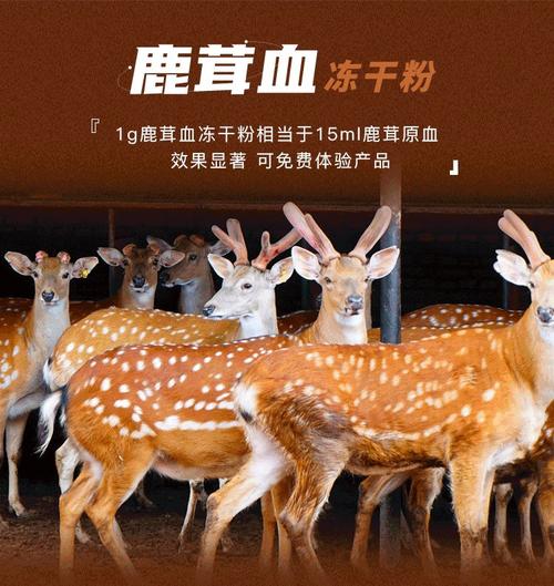 鹿茸血粉oem贴牌生产厂家 鹿产品参产品代加工工厂 一站式